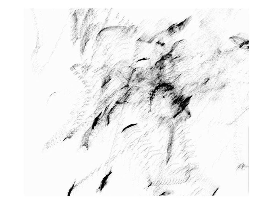 Anima — Elhem Younes
