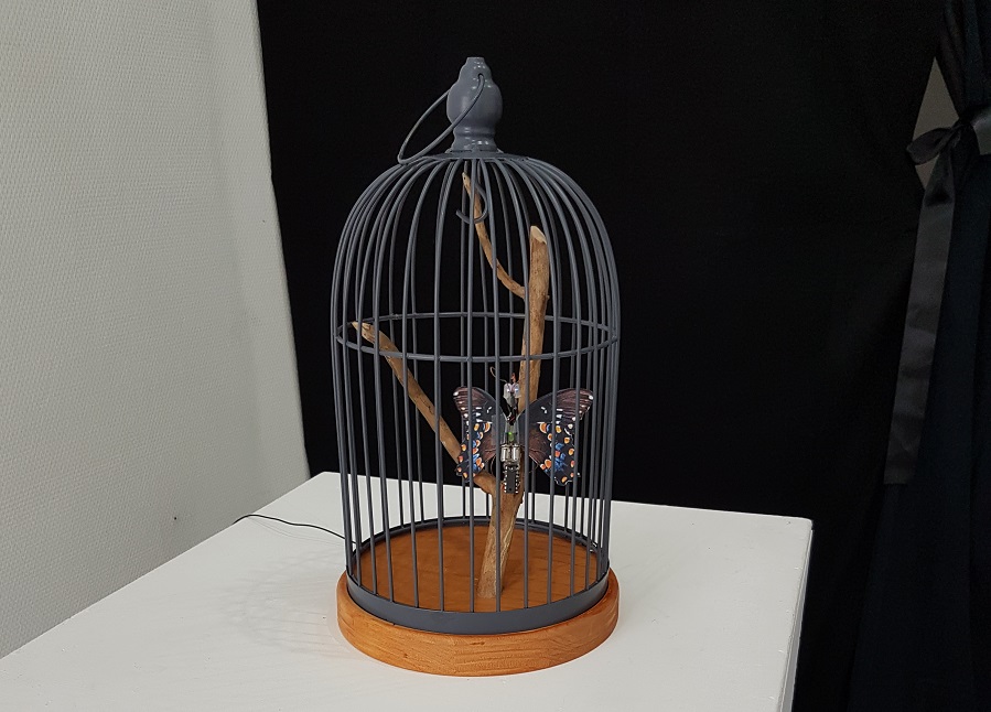 Papillon 2.0 — Vincent Meyrueis