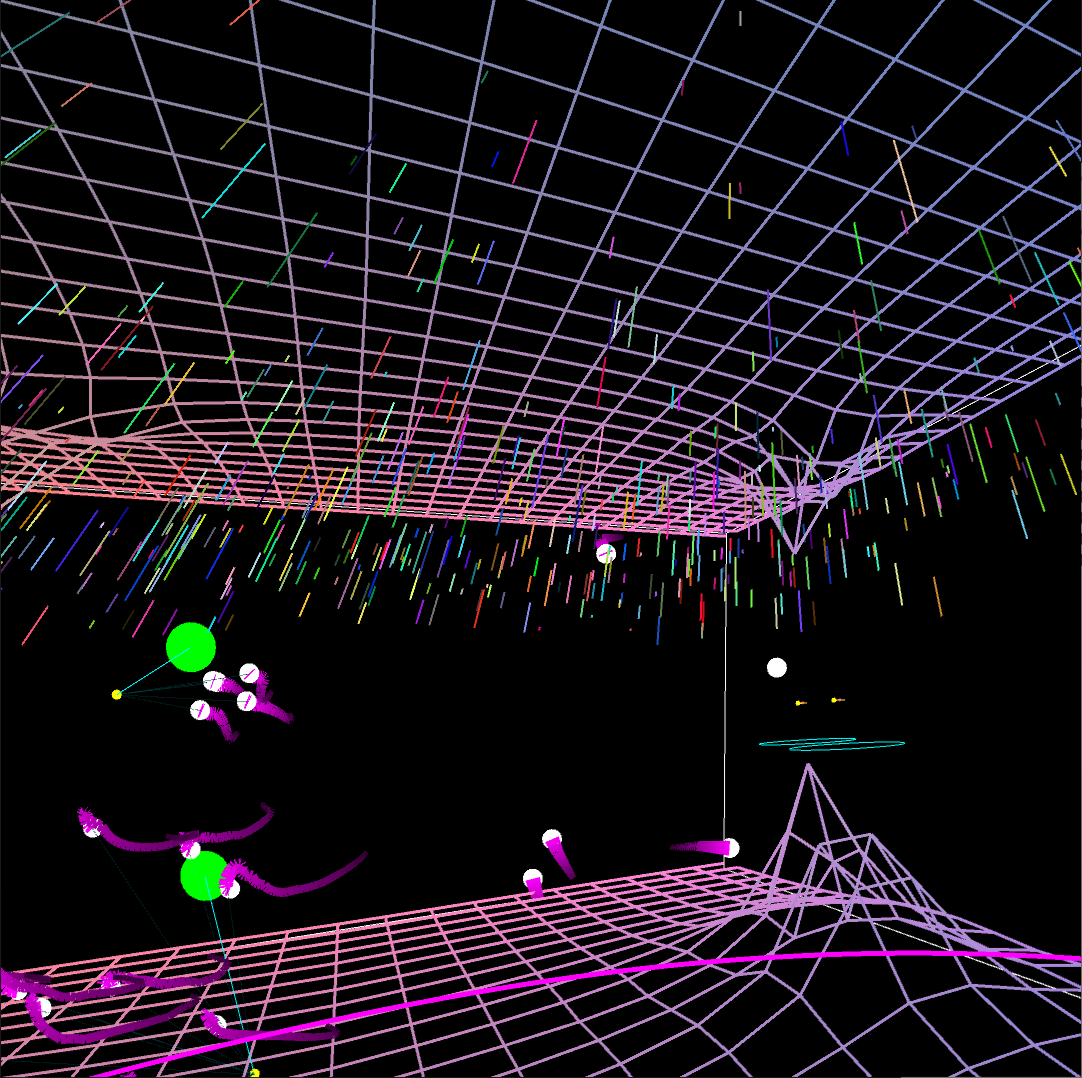 WonderForest — Jia-Rey Chang